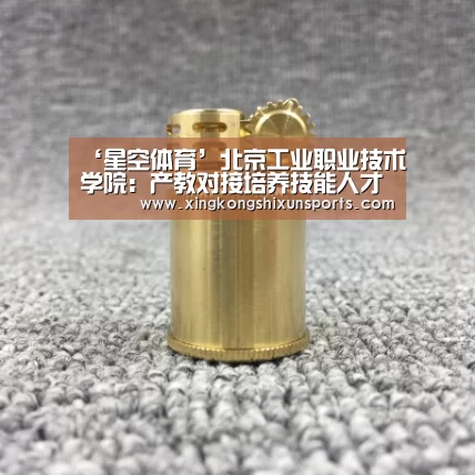 ‘星空体育’北京工业职业技术学院:产教对接培养技能人才(图1) 星空体育