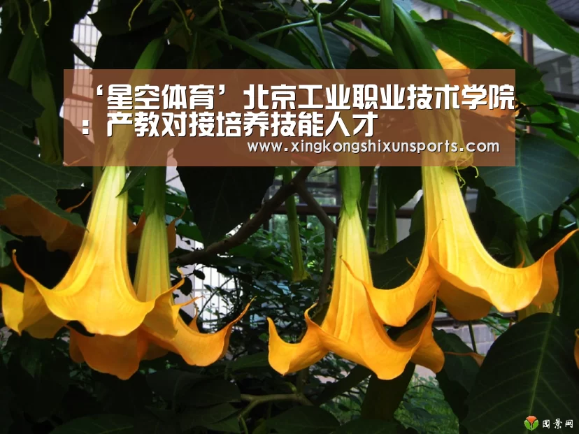 ‘星空体育’北京工业职业技术学院:产教对接培养技能人才(图4) 星空APP