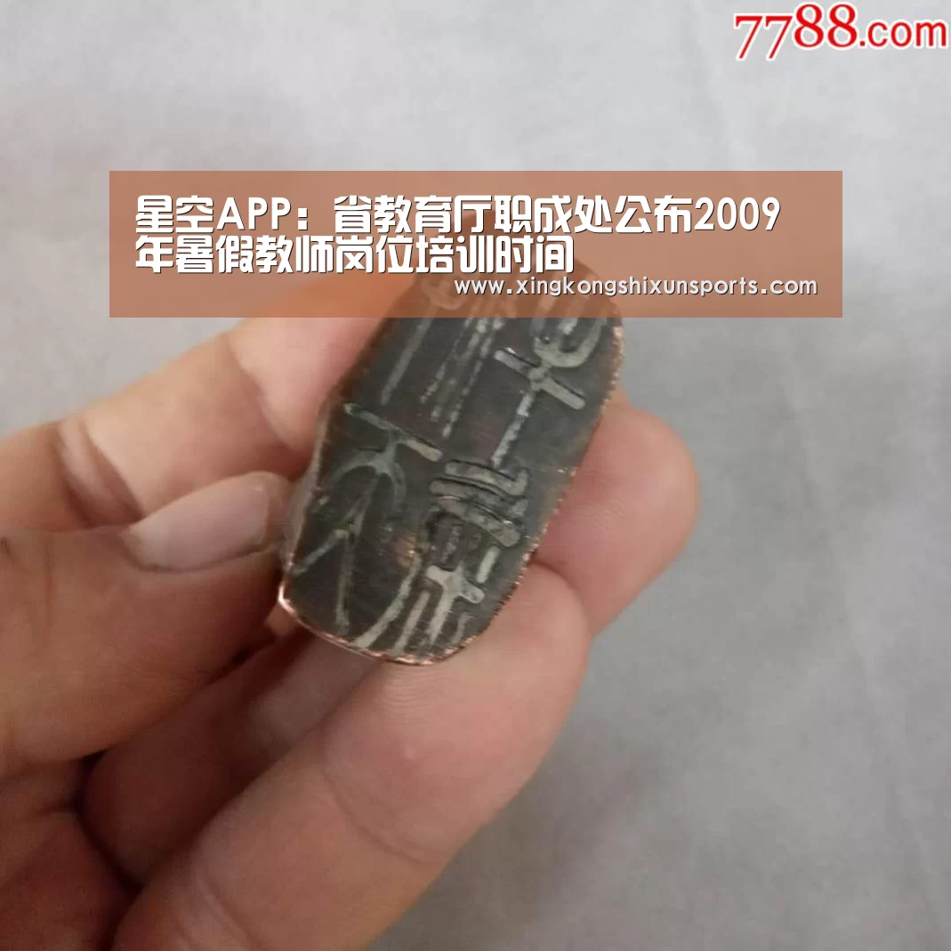 星空APP:省教育厅职成处公布2009年暑假教师岗位培训时间(图1) 星空APP