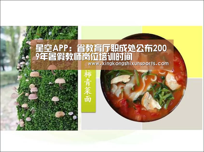 星空APP:省教育厅职成处公布2009年暑假教师岗位培训时间(图4) 星空真人