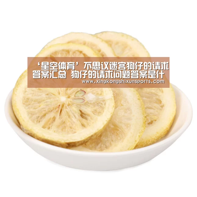 ‘星空体育’不思议迷宫狗仔的请求答案汇总 狗仔的请求问题答案是什么(图3) 星空APP