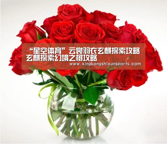 “星空体育”云裳羽衣玄麒探索攻略 玄麒探索幻境之树攻略(图3) 星空真人